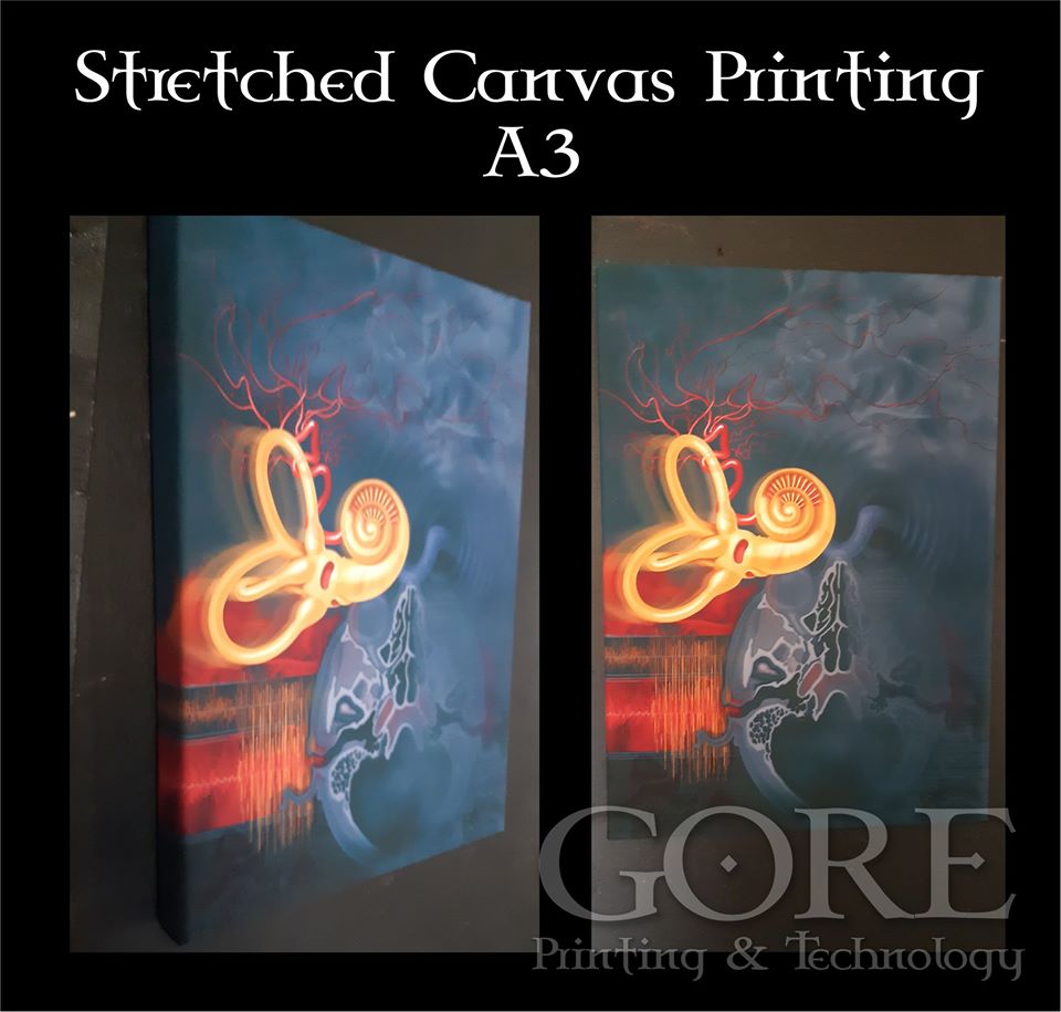 76910645_1431381427009256_6299564241124851712_o